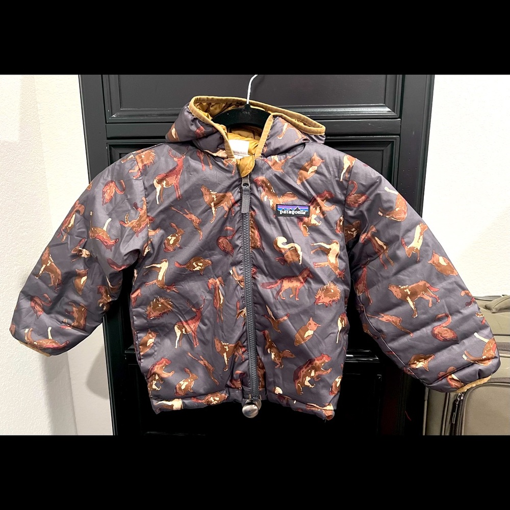 Patagonia Baby Reverse Down Hoodie 3T